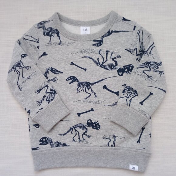Baby Gap Toddler Long Sleeve Gray Sweatshirt Dinosaur Pattern Size 2 Yrs 95 cm - Picture 1 of 6